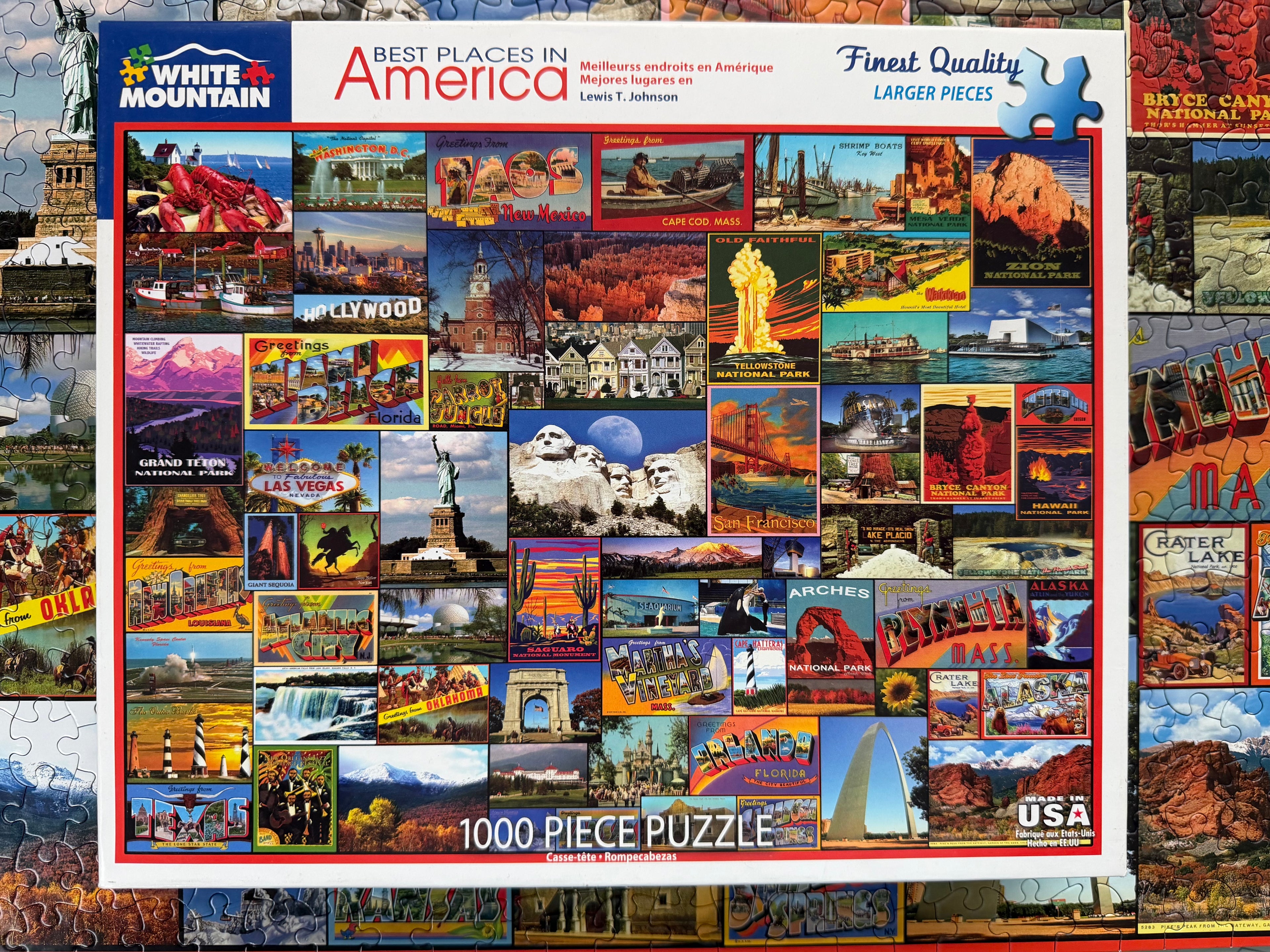 Best Places in America (1000 pc)