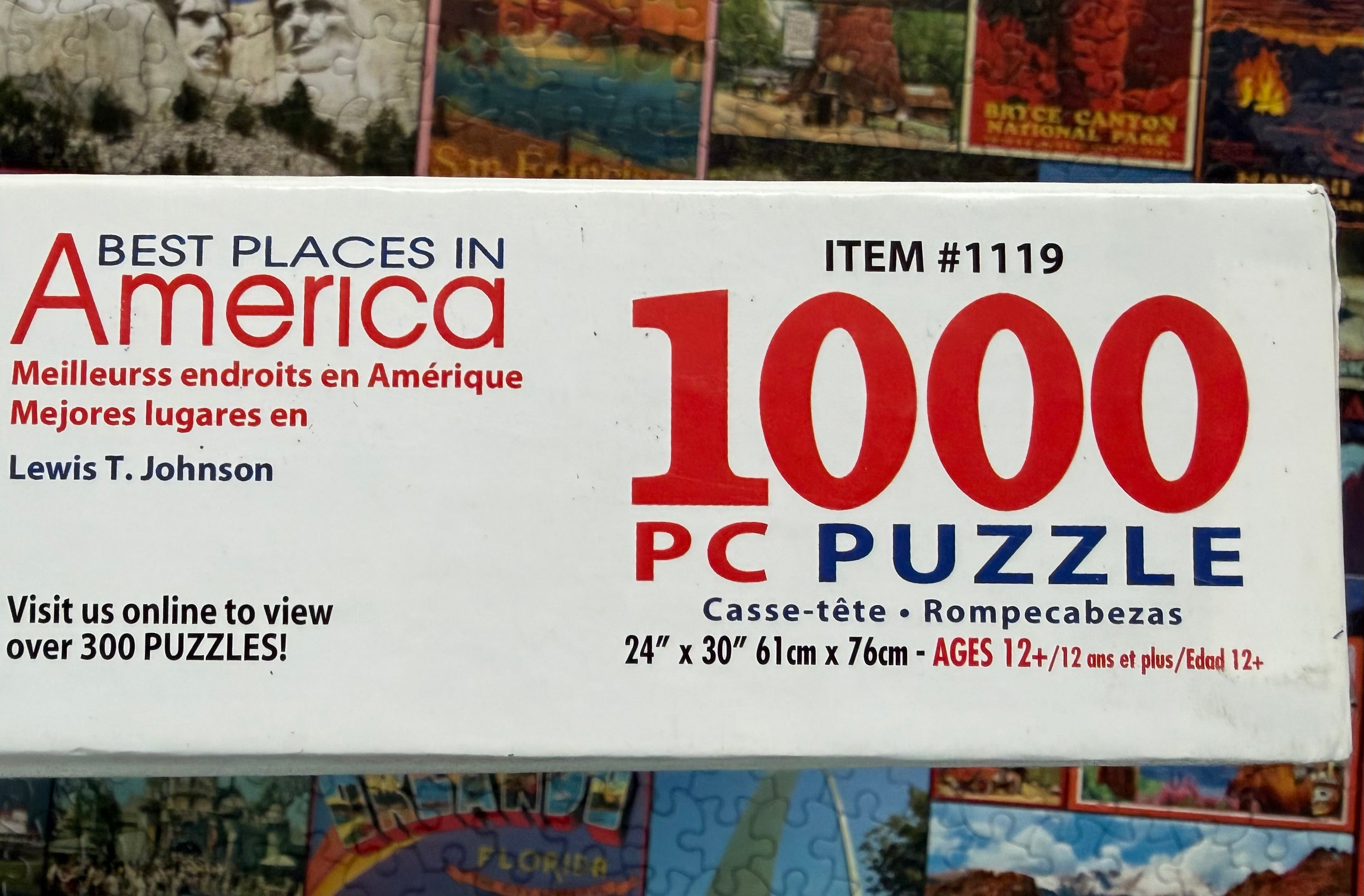 Best Places in America (1000 pc)