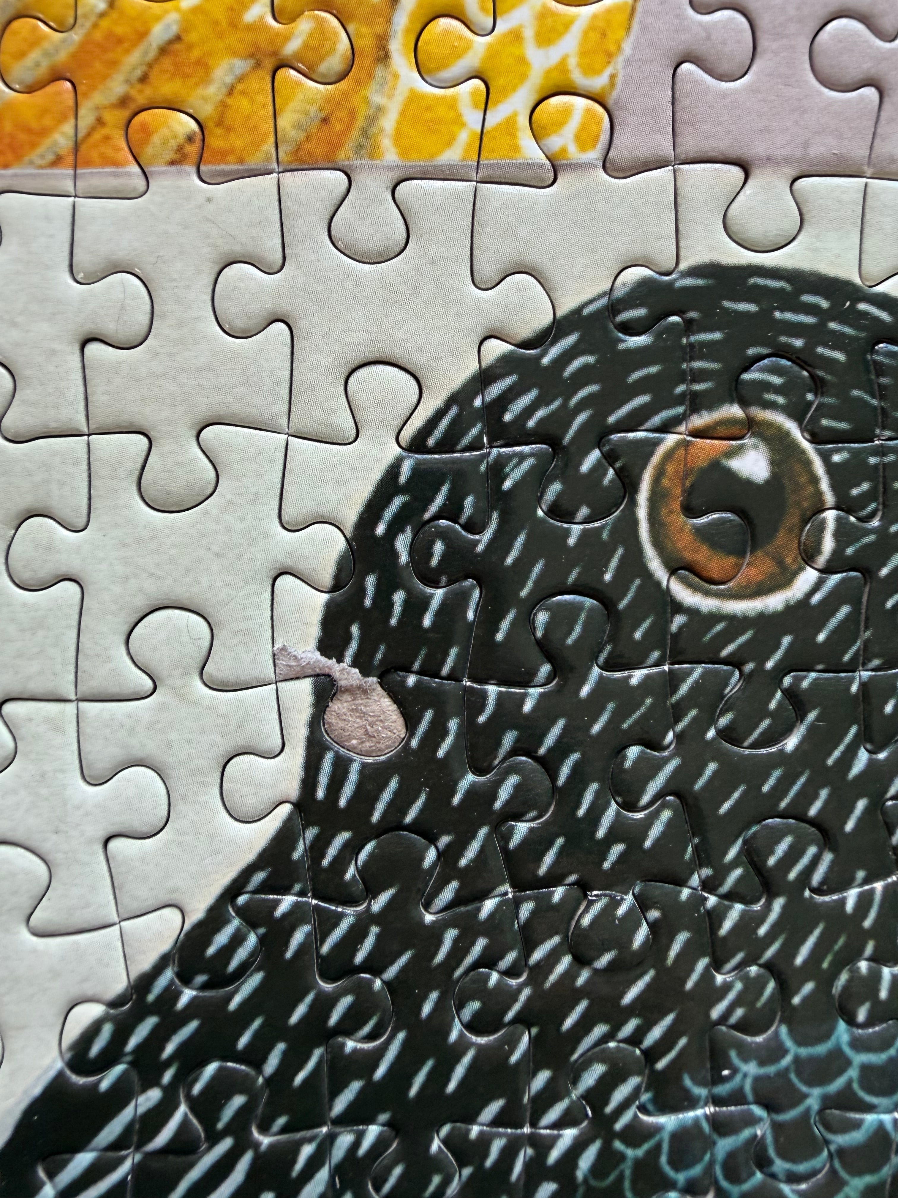 Avian Friends (1000 pc)