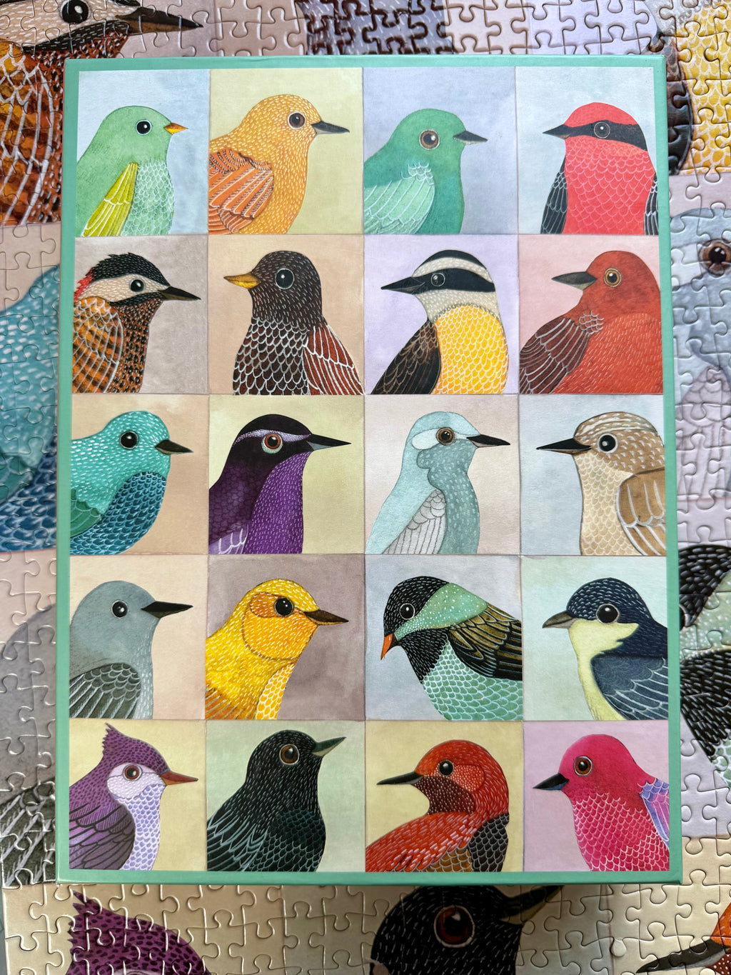 Avian Friends (1000 pc)