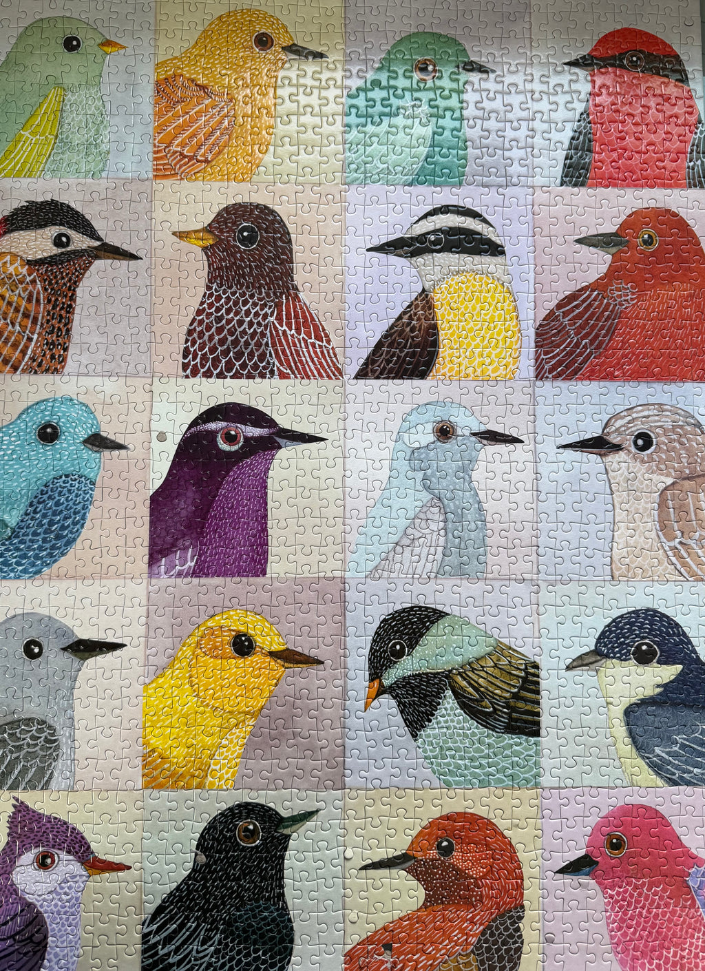 Avian Friends (1000 pc)