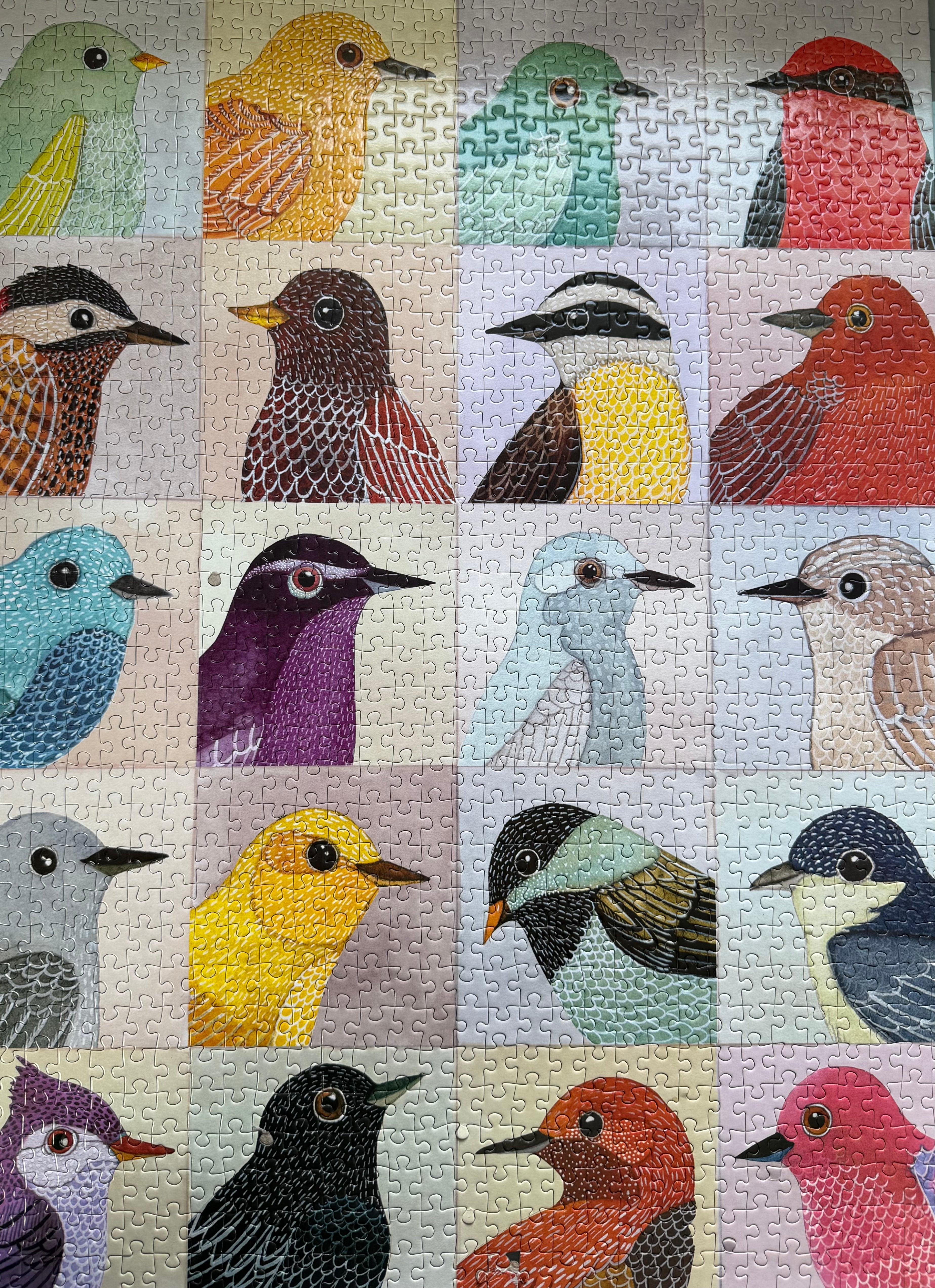 Avian Friends (1000 pc)