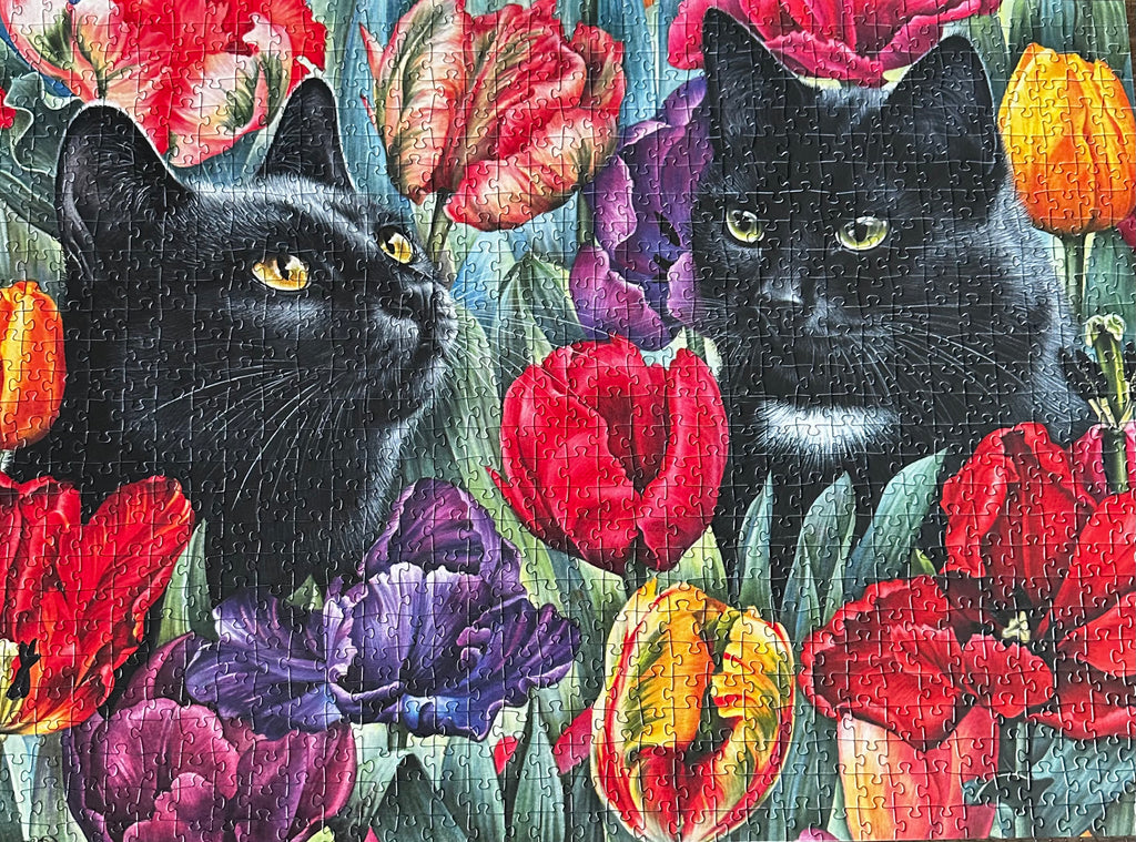 Amongst the Tulips (1000 pc)