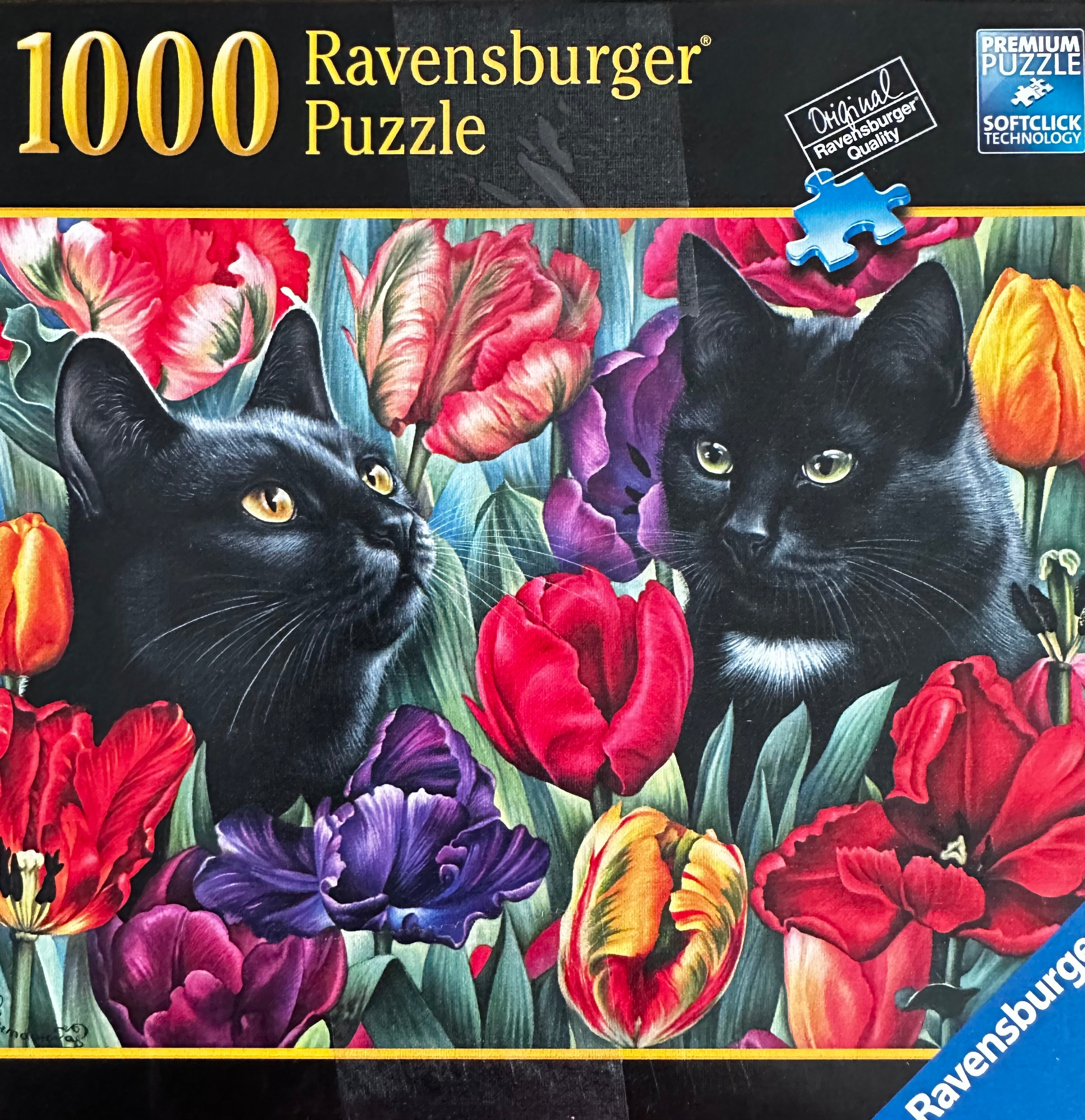 Amongst the Tulips (1000 pc)