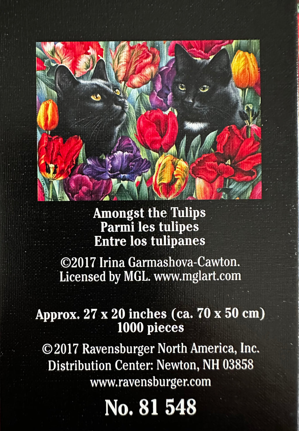 Amongst the Tulips (1000 pc)