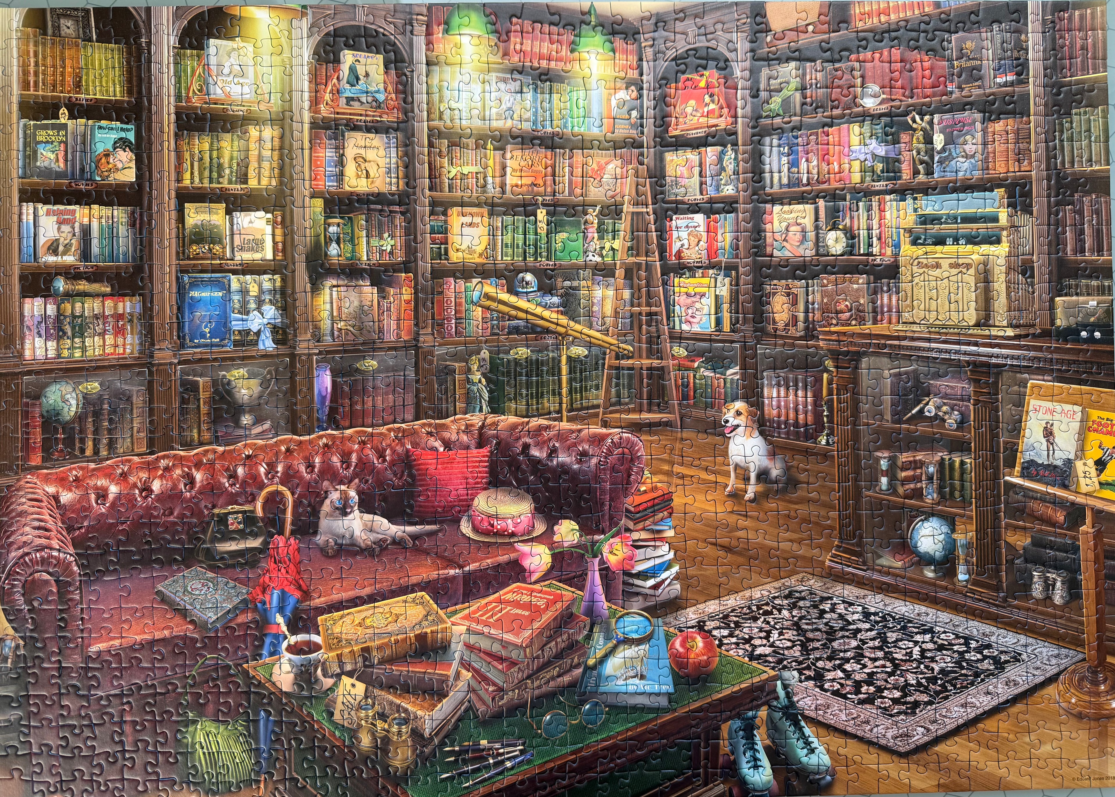 The Reading Room (1000 pc)