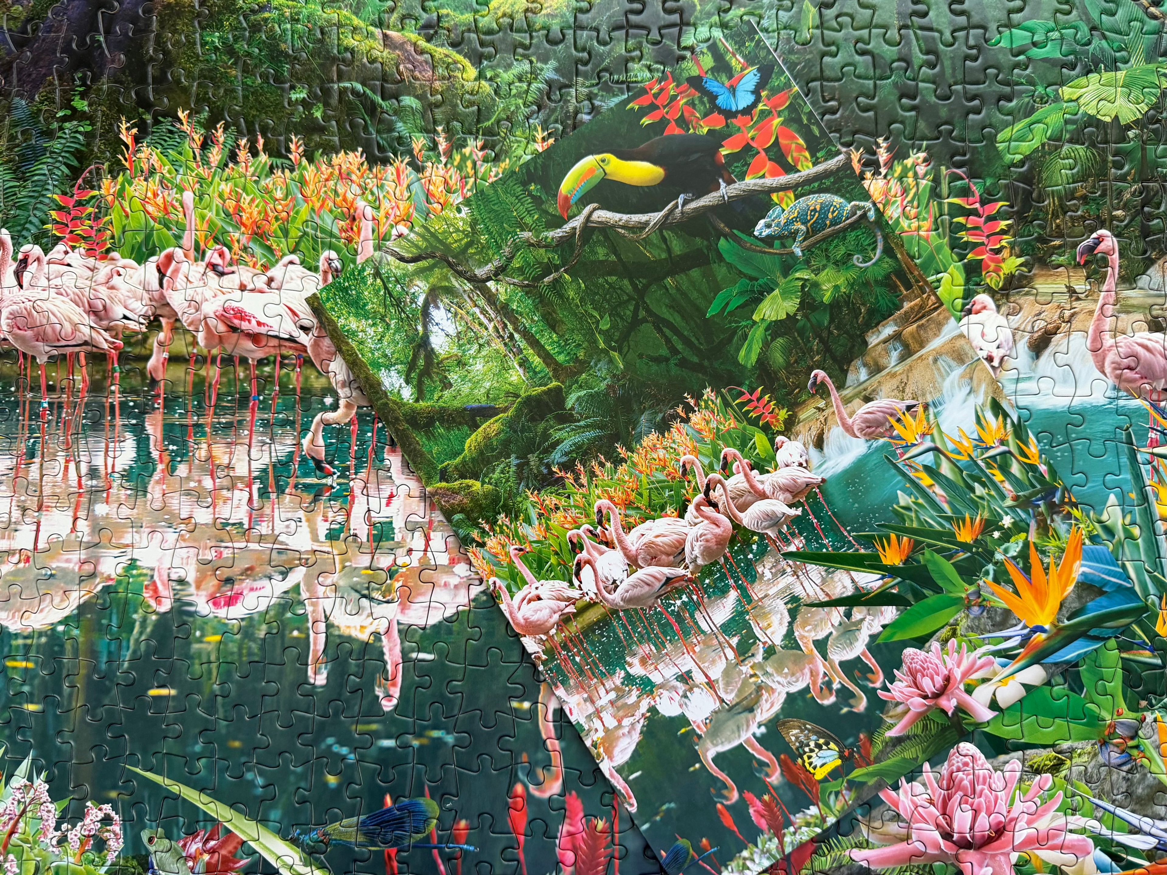 Flamboyant Jungle (1000 pc)