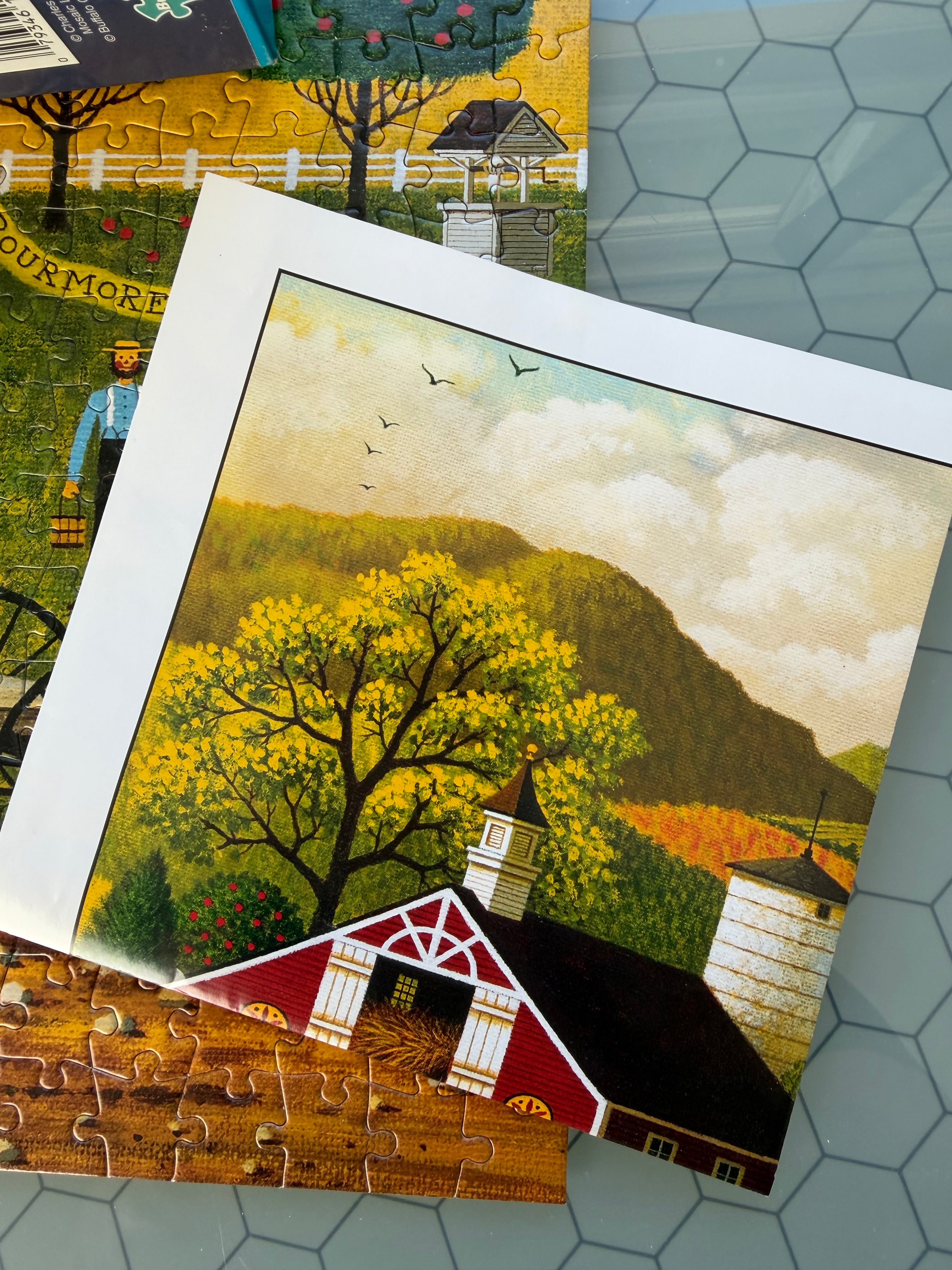 House Movers (1000 pc)