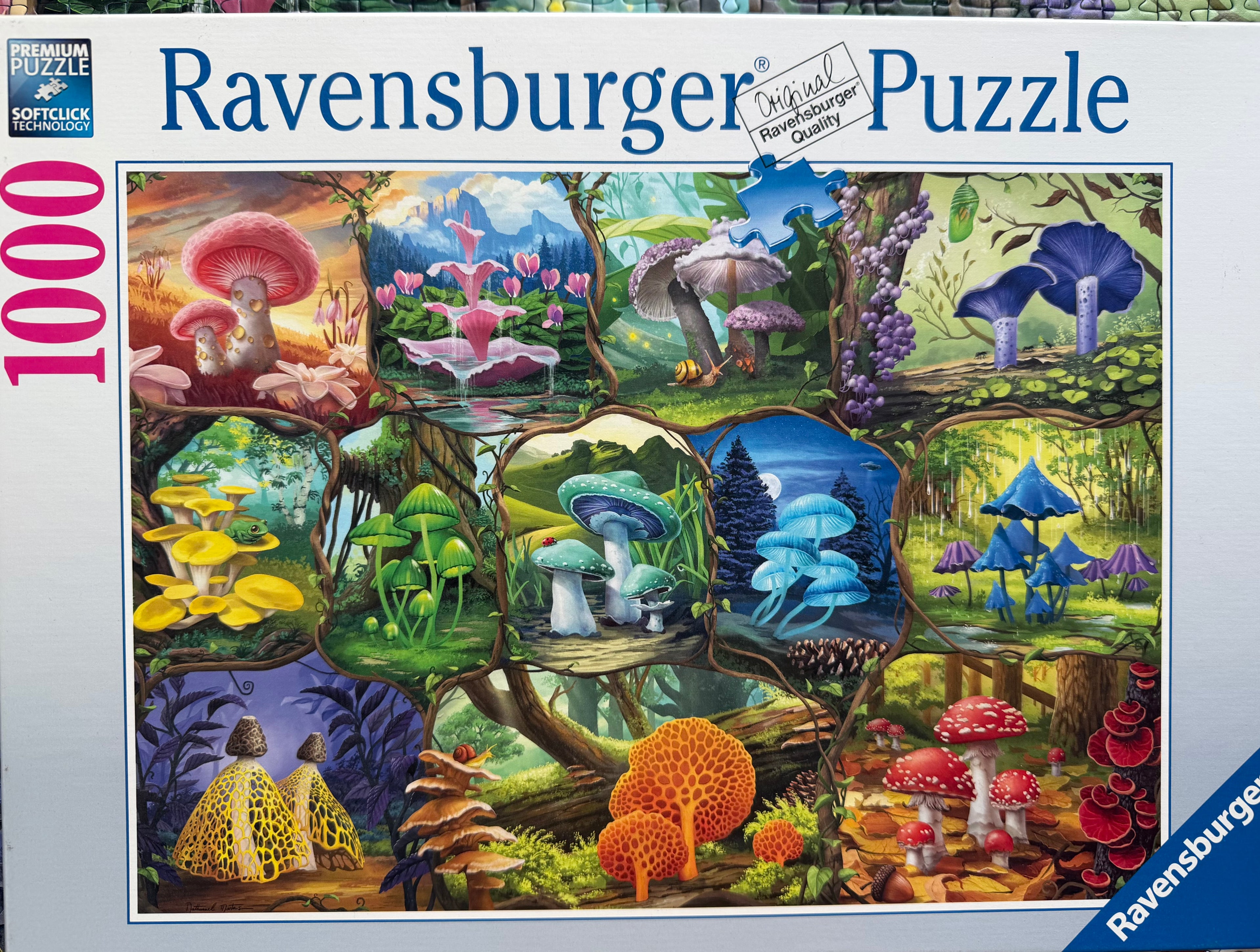 Beautiful Mushrooms (1000 pc)