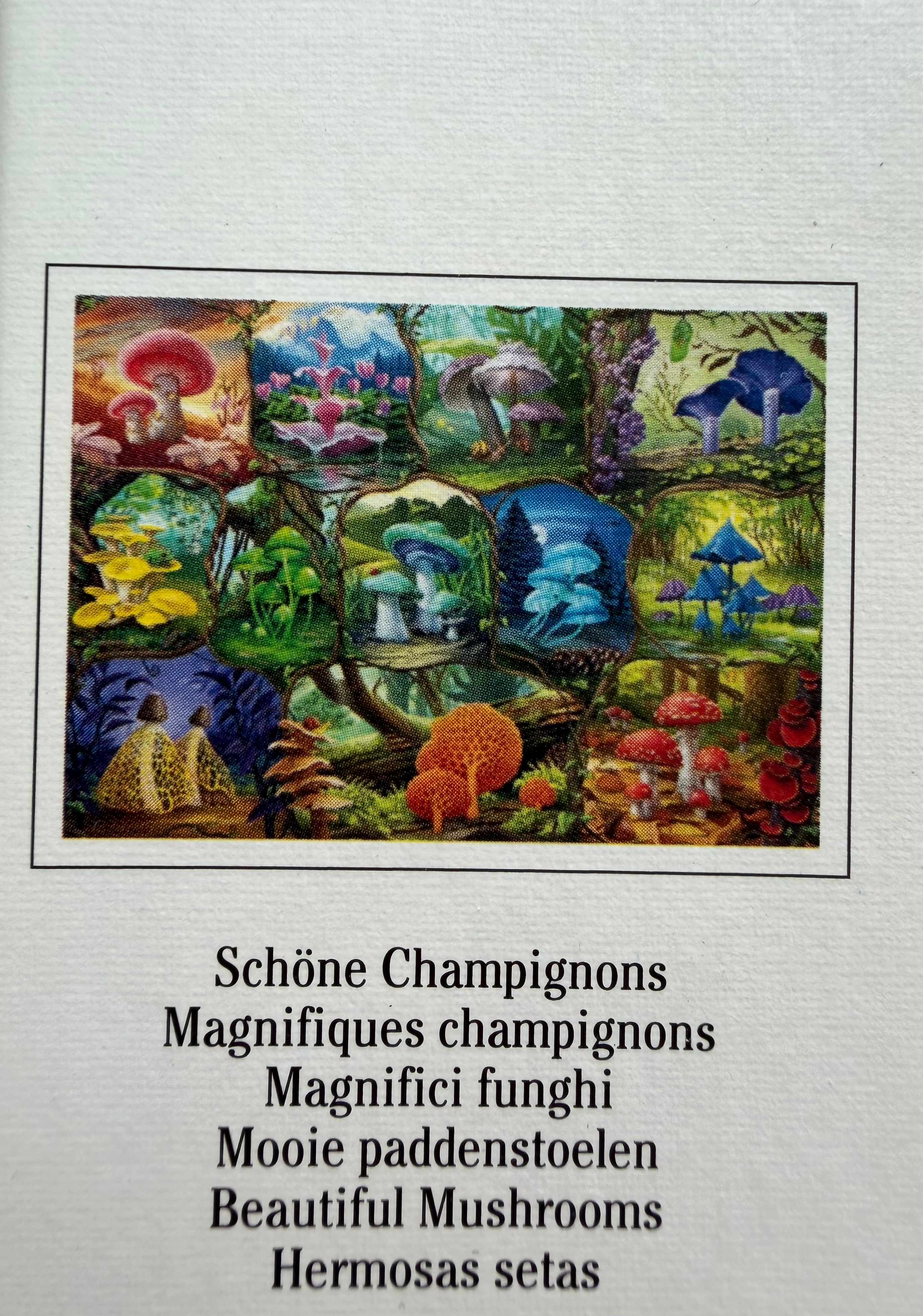 Beautiful Mushrooms (1000 pc)