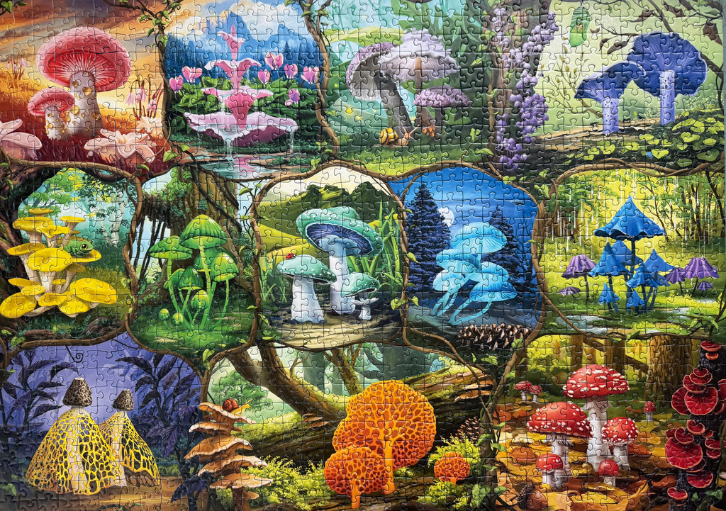 Beautiful Mushrooms (1000 pc)